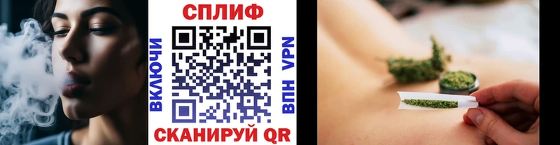 Где найти наркотики Задонск A PVP МЕТАДОН COCAIN ГАШ Бошки Шишки МЕФ Амфетамин Галлюциногенные грибы