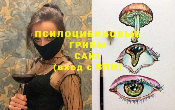 марки lsd Гусев