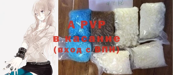 прущие грибы Горняк