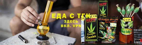 прущие грибы Горняк