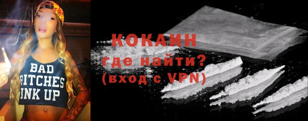 прущие грибы Горняк