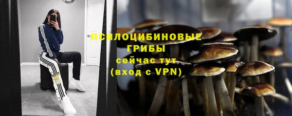 марки lsd Гусев