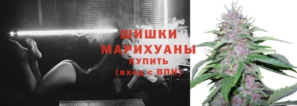 прущие грибы Горняк
