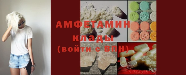 прущие грибы Горняк