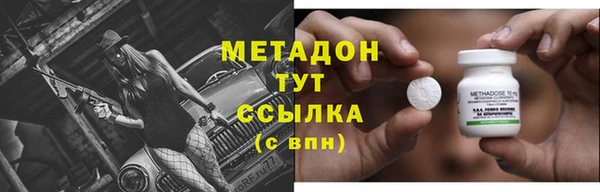 прущие грибы Горняк