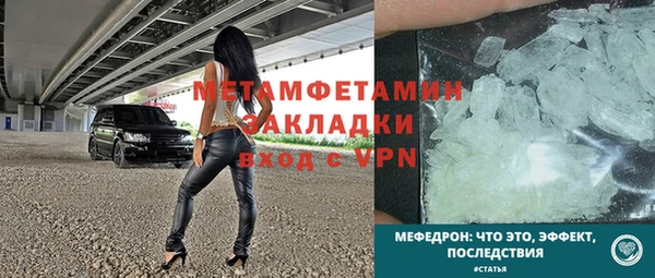 прущие грибы Горняк