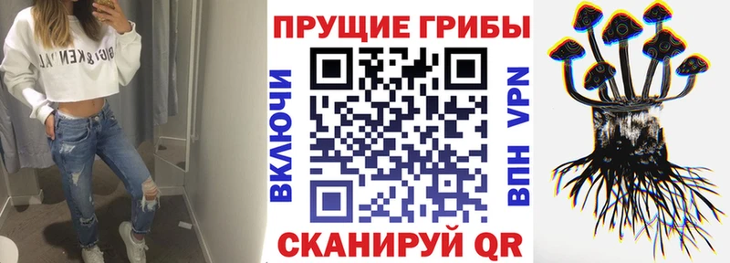 Псилоцибиновые грибы прущие грибы  купить  цена  Задонск 